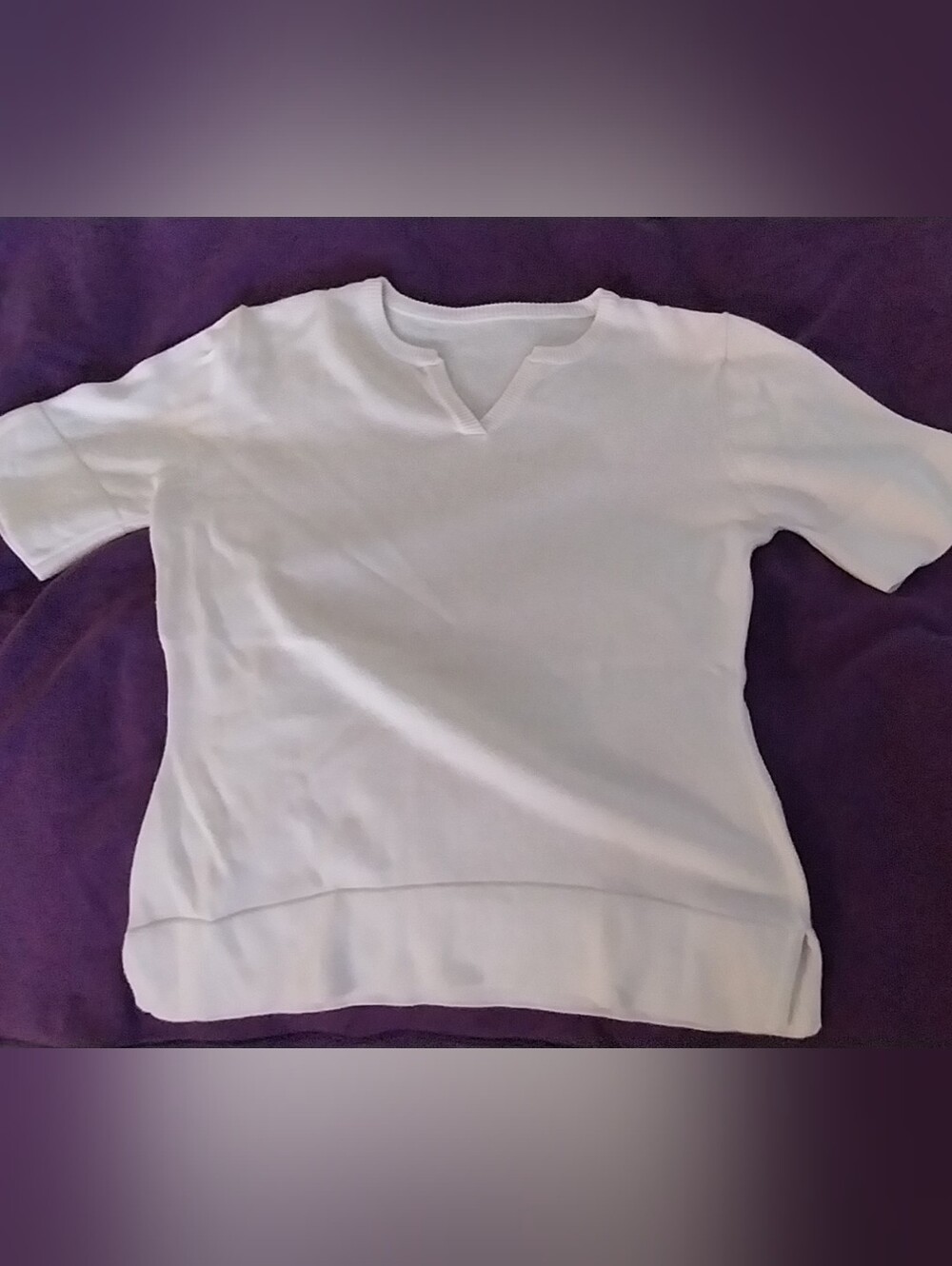 Women's Short Sleeve Top in Pale Pink
